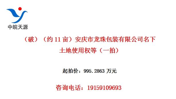 ƣԼ11Ķװ޹˾ʹȨȣһģ