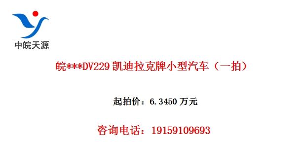 ��***DV229����������С��������һ�ģ�