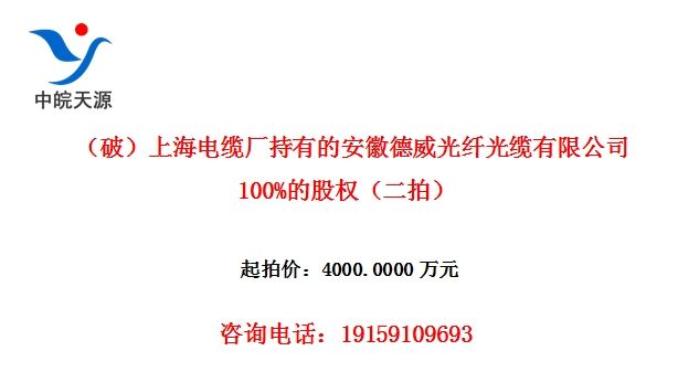 ���ƣ��Ϻ����³����еİ��յ������˹������޹�˾100%�Ĺ�Ȩ�����ģ�